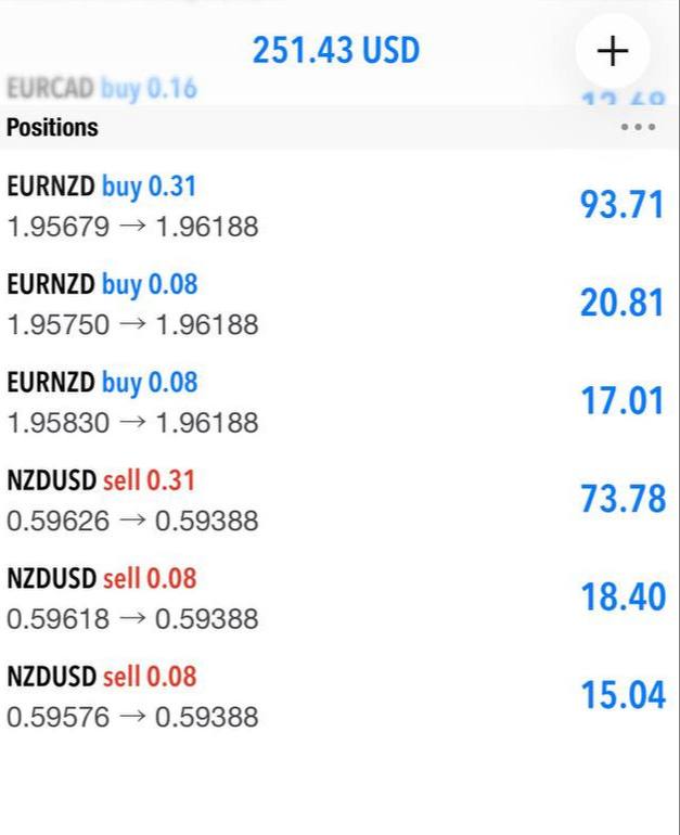 Positions positives sur EURNZD et NZDUSD